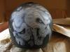 Another helmet for Alan by Chic Innes
