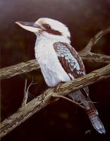 Blue Winged Kookaburra by Dallas Nyberg