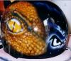 SNAKE by Savio Eagle1