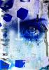 look in to my eyes di  Gas Design