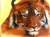 Tiger by Marta- Ariesbrush