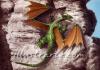 Little Dragon by Paco Del Mar