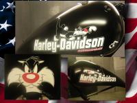 gatto silvestro by  Scasellato1