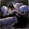 In The Company of Wolves by  Sandi Baker
