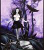 Raven by  Sandi Baker