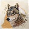Adobe Gold by  Sandi Baker