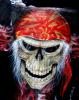 ancient skull by  Stripes