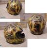Sueca Iron Helmet by Tino Blasc -Xtreme Cus