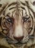 Tigre par Truman&sbquo;&Auml;&ocirc;s Studio Airb
