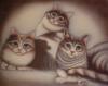 cat family by Can Yucel