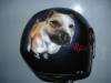 casco_Cane_Cavallo by  Capudrumart