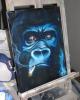 gorilla by  Cco