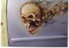 skull  car by  Cco