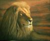 Lion by  Djfilip1
