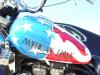 Virago 2 by  Mgart