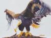 Aquila Reale by Enzo Berardi Eberard