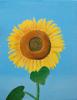sunflower by Monica Palermo