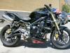 triumph by  Am.design