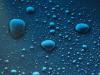 Water Droplets by Ed Hubbs - Ful