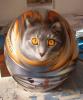 cosco gatto de Antonio Fucito