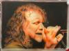 ROBERT PLANT  by Giorgio Uccellini