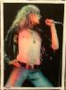 lRobert Plant Led Zep  by Giorgio Uccellini