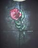 rosa en suelo negro by Joseba Carballal S