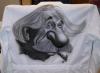 Einstein su camice da laboratorio by Lilo Design