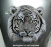 tiger one by  Jms-Creatio