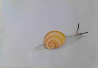 camper di Massimo Venturi