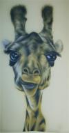 giraffa by  Aerosolove