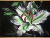 Fiori by Mr Aerografie