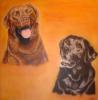 Two Labs by Mark Welton