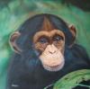 I'm not meat. di Mark Welton