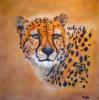 Hunters Gaze di Mark Welton