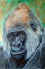 Silverback di Mark Welton