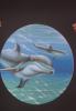  by  Maxtattoo