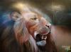 LIon by  Olga Zinkov
