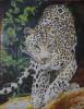 leopardo by Paolo Paoli