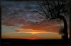 sunrise in eastgermany by Ralf R-Brush