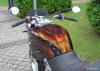 bmw F 650 by Ralf R-Brush