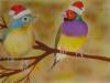 Natale by Renzo Mazzini