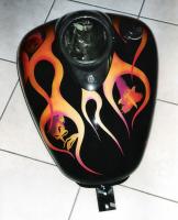 elfi e fiamme by Renzo Mazzini