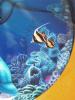 Fish by Thierry Seydinatiti