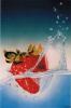 FRAGOLA IN ACQUA by  Swamy