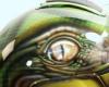 Iguana by  Trihall