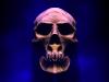 skull 3d spot blu by  Trihall