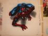 spiderman by  Wignaz