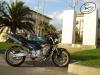 Hornet 600 di Alz by Alberto Carignani -