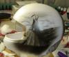 w.i.p by Alberto Carignani -